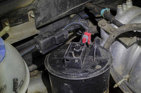 EVAP: запах бензина, ошибки P0442 / P0455 — что делать по шагам