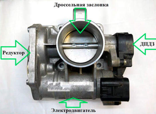 ДПДЗ где находится