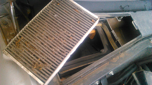 Запахи и очистка климат-системы: озонатор vs. смена испарителя