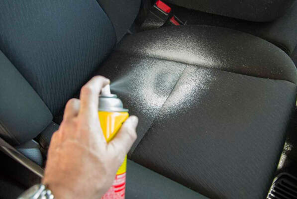 Уход за салоном зимой: как предотвратить появление плесени