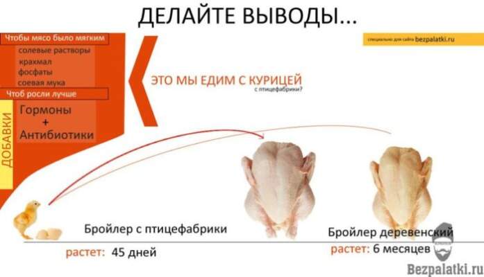 какие добавки содержатся в мясе курицы и какой дают результат