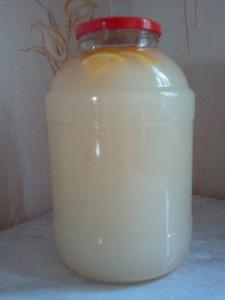 квас из апельсинов приготовить