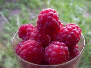 малина в стакане