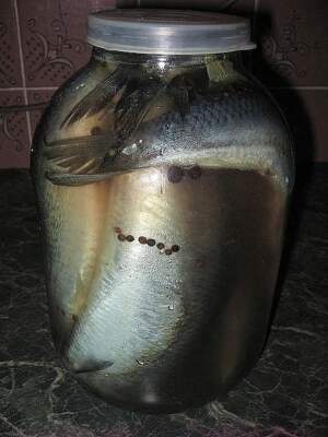 как засолить селедку в банке