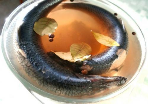 как засолить селедку в домашних условиях