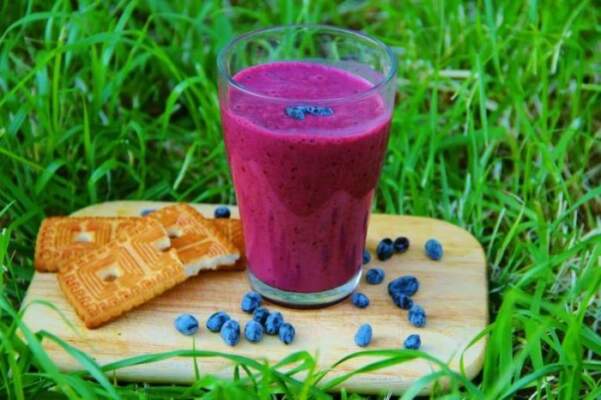 Жимолость — вкусные рецепты на зиму и на каждый день