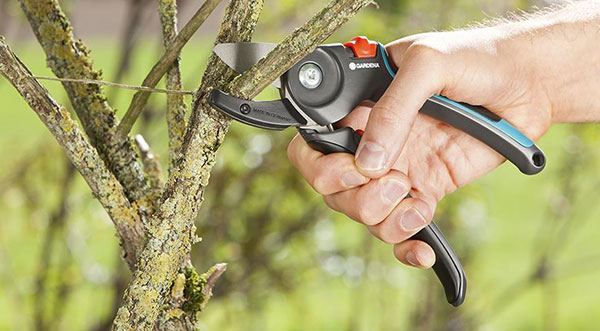 Садовый секатор