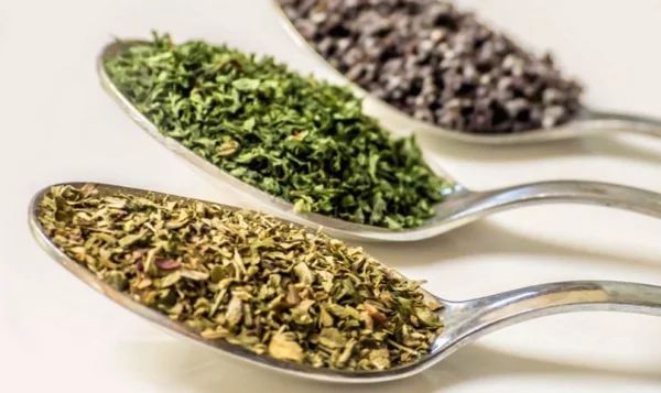 Зелень на зиму — лучшие способы заготовки