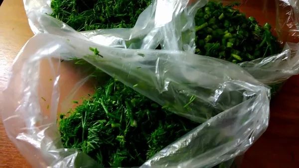 Зелень на зиму — лучшие способы заготовки