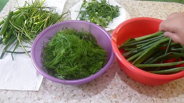 Зелень на зиму — лучшие способы заготовки