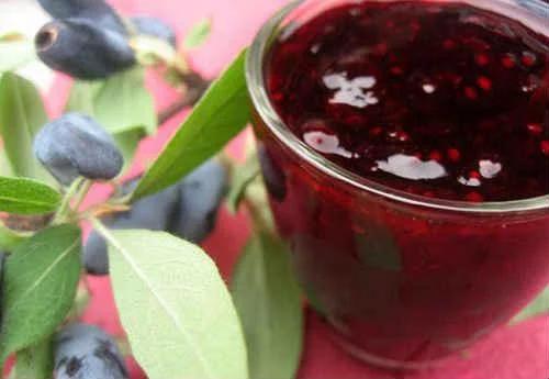 Жимолость — вкусные рецепты на зиму и на каждый день