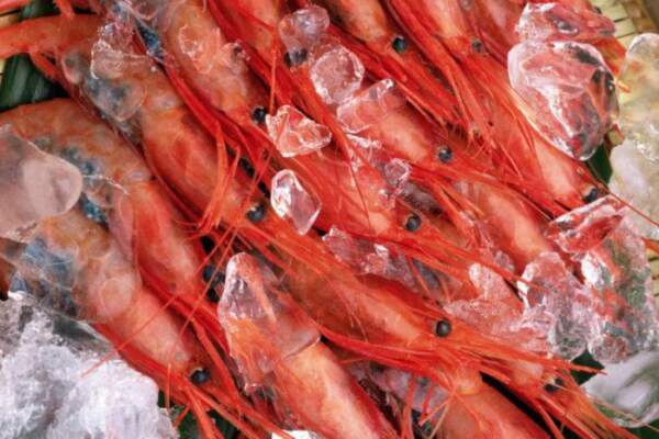 варено-замороженные креветки в ледяной глазури