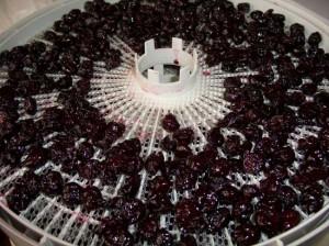 вишня вяленая польза