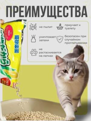 Топ лучших наполнителей для кошачьего туалета: рейтинг, сравнение и советы по выбору