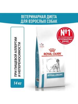 Лучшие корма для собак мелких пород: рейтинг и рекомендации