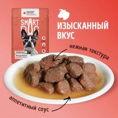 Лучшие корма для собак мелких пород: рейтинг и рекомендации