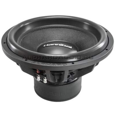 Как выбрать мидбас 16 см: советы, обзоры и лучшие модели