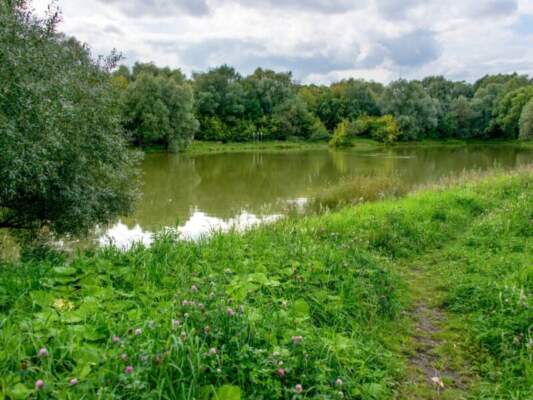 Где в Москве чище воздух: рейтинг самых зелёных районов