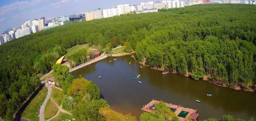 Где в Москве чище воздух: рейтинг самых зелёных районов