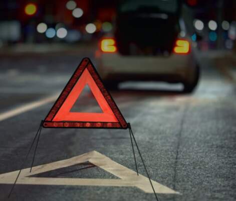 ДТП с животным (лось/собака): что делать, как оформить и кто платит — разбор ОСАГО и КАСКО