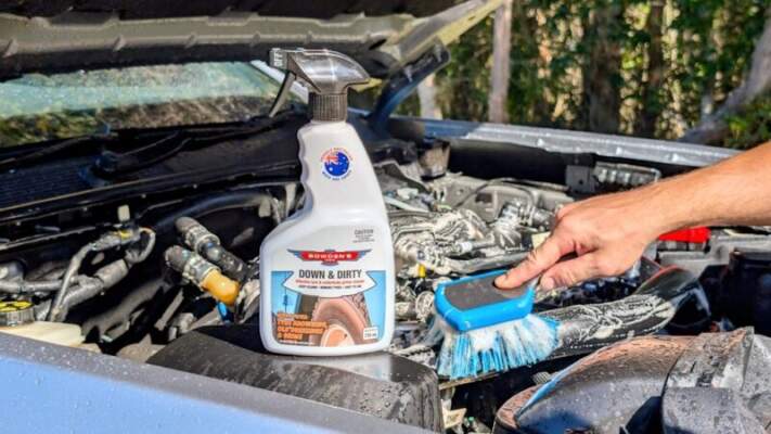 Как правильно мыть двигатель и безопасно ли это