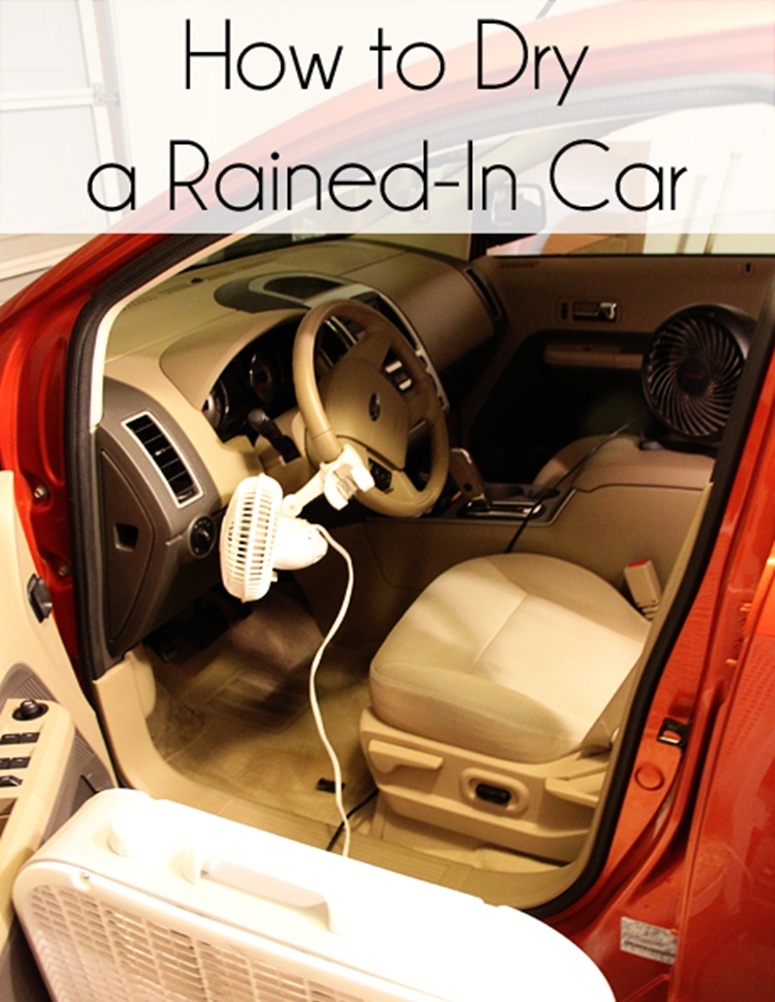 Сушка салона после затопления: антисептика, электроника, подушки безопасности