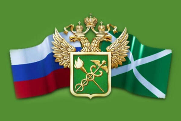 Новые правила ввоза авто из ЕАЭС: подробная инструкция (2024–2025)