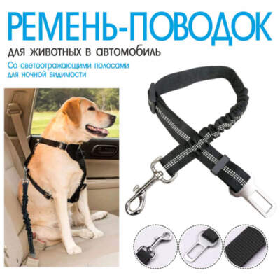 Перевозка кошек и собак: ремни/боксы/вет‑правила