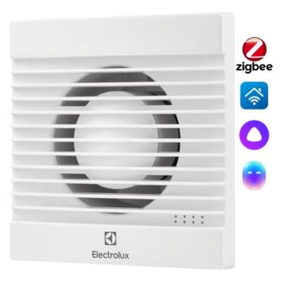 Какие приборы реально помогают бороться с плесенью в квартире?